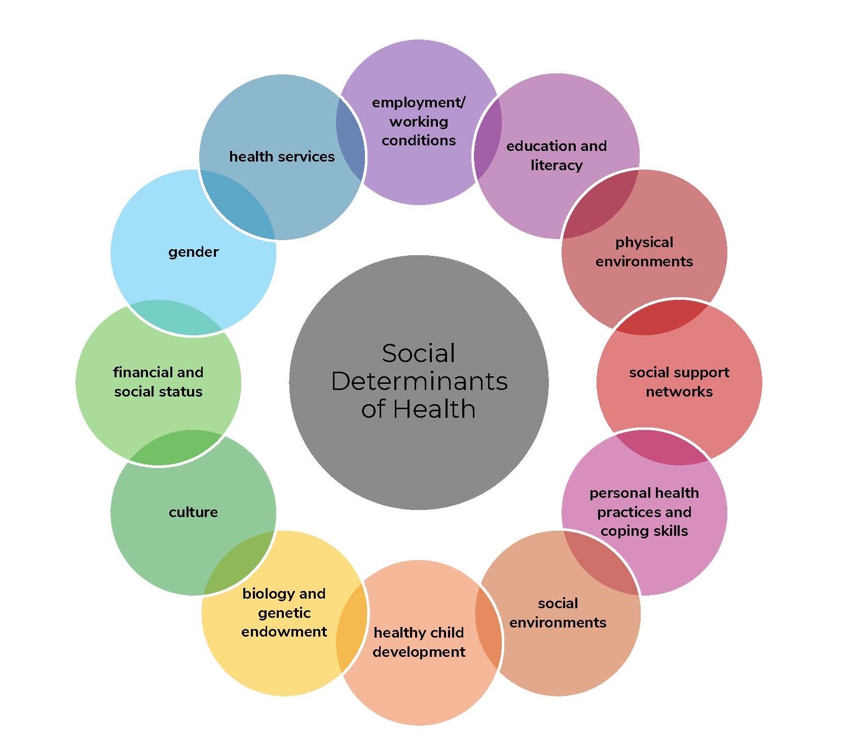 Social determinants of health circular graphic