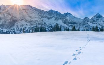 A blanket of snow with footprints leading to mountain peaks.